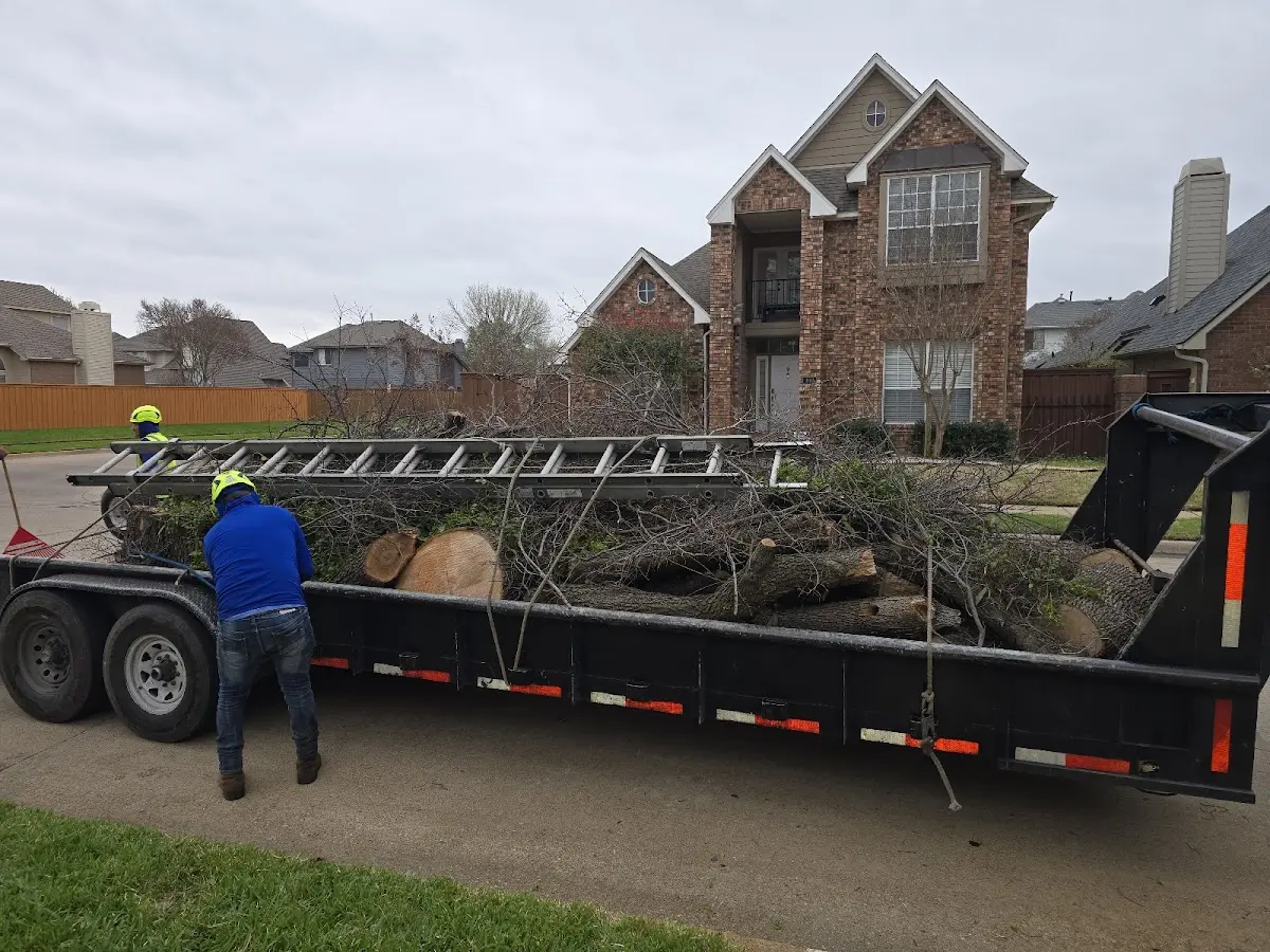 Expert Tree Fertilization with proper safety equipment in Mountain Lake
